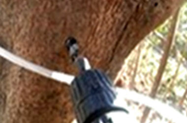 나무에 드릴로 구먹을 뚫음