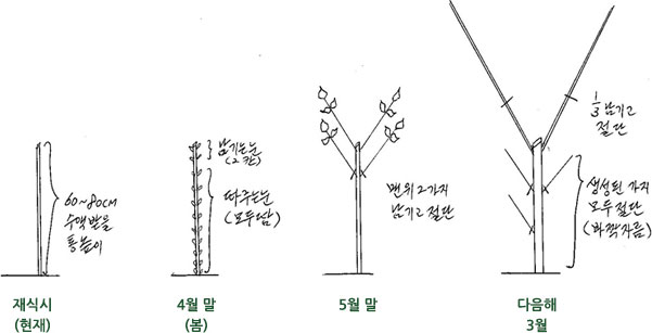재식시, 4월말, 5월말, 다음해