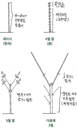 재식시, 4월말, 5월말, 다음해
